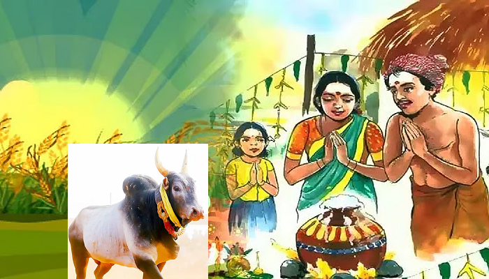 நாளை தொடங்கிற பொங்கல் திருவிழாவிற்கு அணியமாக இன்று காப்புக்கட்டு!