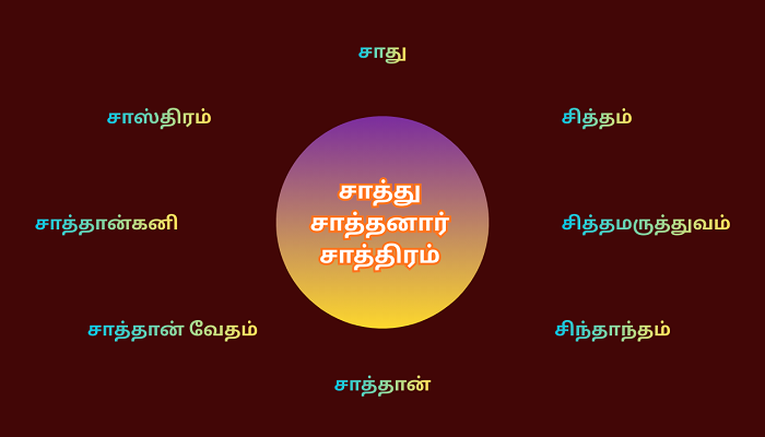 'சாத்து சாத்தனார் சாத்திரம்' ஆகியவற்றில் இருந்து மருவிய தலைப்புகளே: சாத்தன், சாத்தான்வேதம், சாஸ்திரம், சாது உள்ளிட்டவை 