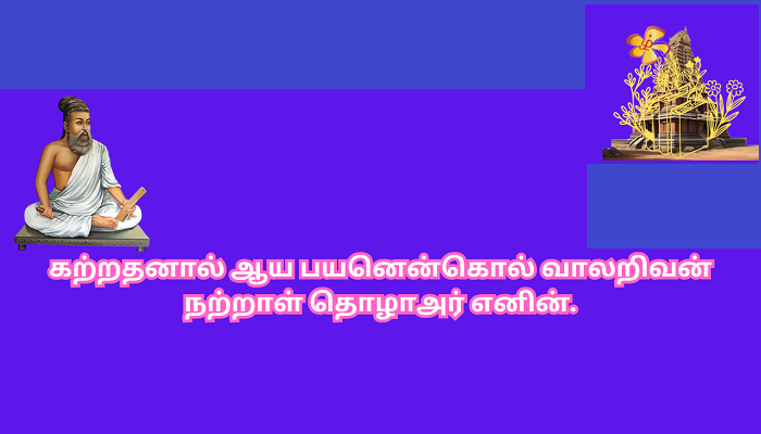 Vitae adipiscing turpis aenea